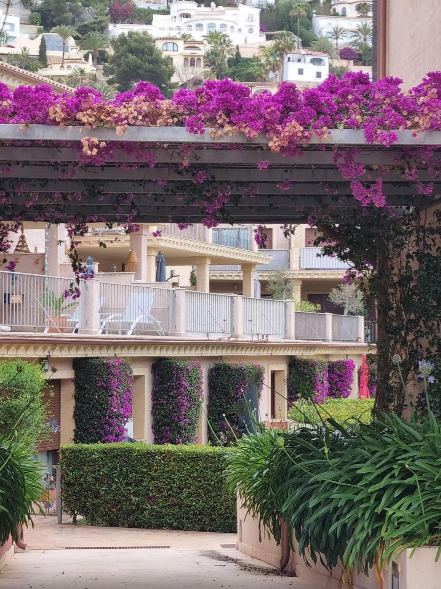 莫莱拉Casa Violette公寓 外观 照片